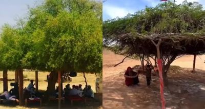 Meet Mithi Jal: The Natural ‘Desi AC’ Helping Rajasthan Beat 45°C Heat