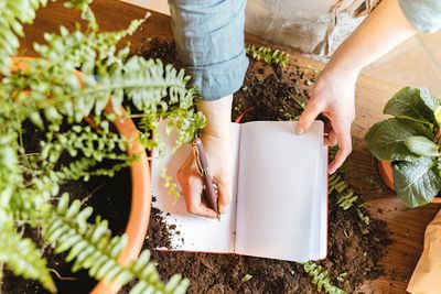 Why Every Budget Gardener Should Keep a ‘Garden Journal’ to Save Hundreds Next Year