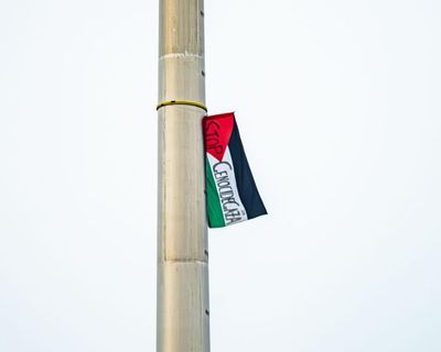 Mystery Palestinian flag continues to fly high over Dublin as removal deemed too risky