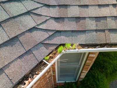 These 10 House Problems Could Turn Your Dream Home Into a Money Pit