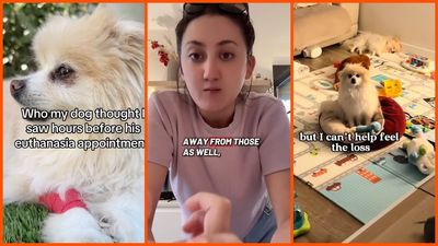 California woman tries new pet food trend. Then tragedy strikes, and she has this warning: ‘Fought so hard’