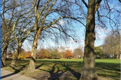 Man, 20, stabbed as young people clash in East Ham park