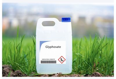 Bayer Glyphosate Fight Escalates As Republicans and Democrat Lawmakers Accuse EPA Of Helping Shield Roundup Maker