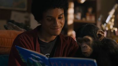 I Had No Idea What Happened To Bubbles After Michael Jackson's Rescue, But This Story Has A Happier Ending Than I Thought