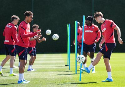 Crystal Palace back in business under Glasner but Shakhtar no pushovers