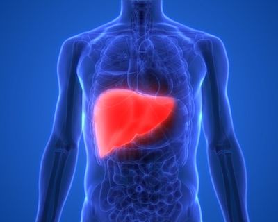 Raise tax on alcohol and junk food to cut deaths from liver disease, experts say