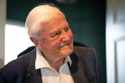 Rescued bull named after David Attenborough in 100th birthday tribute