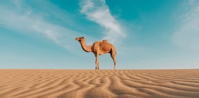 Heat and cold alter how animals fight disease. As the climate changes, this knowledge may be vital