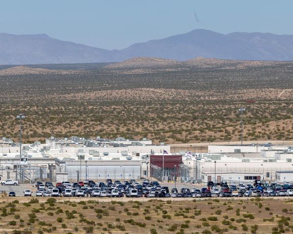 Family of New Zealand woman detained by ICE pleads for government help to secure her release