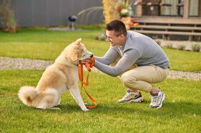 Why Some Pets Stay Active While Others Feel Weak