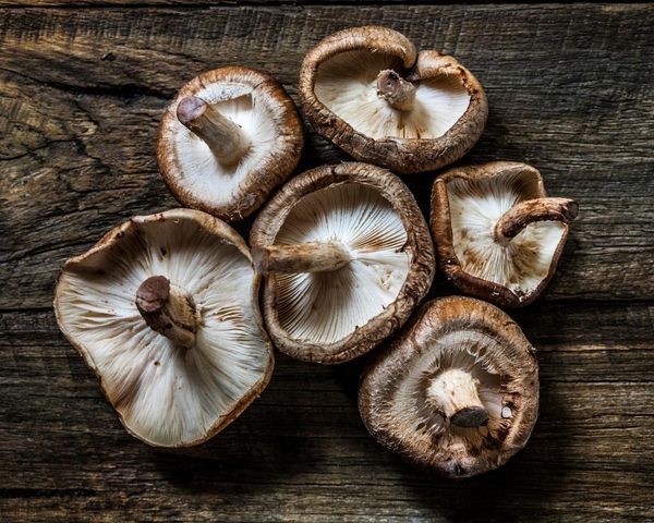 Taiwan accuses China of vegetable laundering via Vietnam