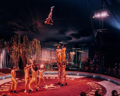 ‘My God, it’s a panic attack to watch’: Giffords Circus on its most dangerous show yet