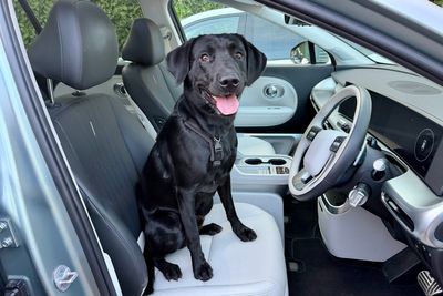 Heat warning for dog owners with EVs as charging stops come under scrutiny