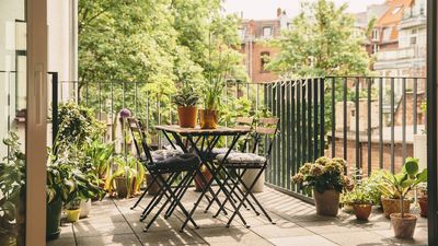 How to Harness a Cottage Garden Mood in Containers, and Give Your Tiny Courtyard a Dream-Like Feel