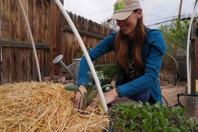 Here's how to grow your own food with less water, even in a drought