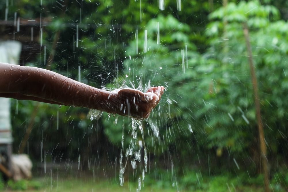 The Rainwater Hack: How to Cut Your Water Bill While…