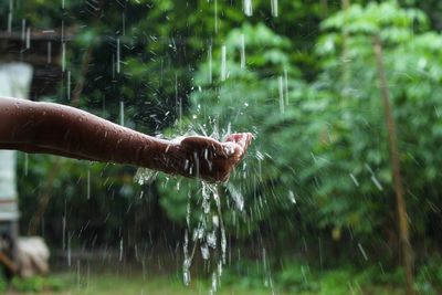 The Rainwater Hack: How to Cut Your Water Bill While Growing More Food