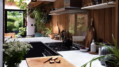 Sorry, but It’s Not as Simple as Putting a Plant in the Corner — A Biophilic Designer Shares How the Philosophy Actually Centers Around People