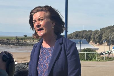 Welsh First Minister tells people to vote for wrong party