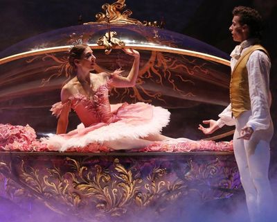 ‘Do I put Sleeping Beauty on my CV?!’ Ballet dancers on their next steps, from midwifery to the House of Lords
