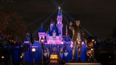 Tired Parents Have One Big Complaint About Disneyland's Viral Facial Recognition System, But Don't Panic Yet