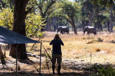 A ban on trophy hunting would harm, not help, conservation