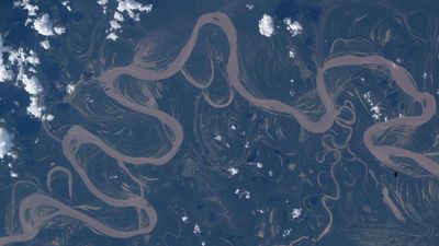 An Amazon rainforest river from space | Space photo of the day for April 30, 2026