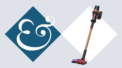 The Dyson V16 Piston Animal Banished Every Mess in My Home, from Pet Hair to Thick Dust