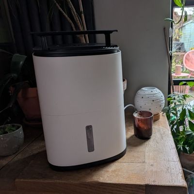 This new budget dehumidifier is 'designed to keep your home feeling fresher and the air cleaner' – here's why I rate this compact, quiet, energy-efficient model