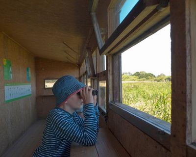 Gen Z leads birdwatching boom as more Britons reach for the binoculars