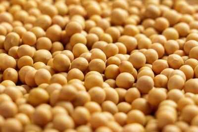Soybeans Close with Mixed Trade on Thursday