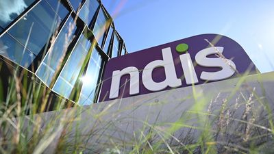 Revealed: amount of NDIS spending lost to fraud, misuse