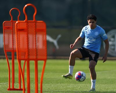 A-League’s World Cup hopefuls out to grasp last chance to impress Socceroos coach