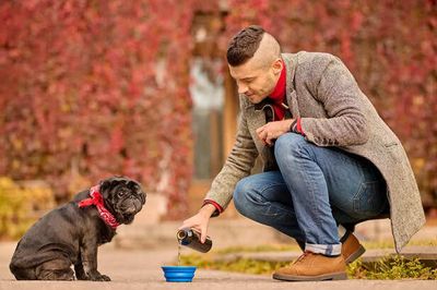 What Your Pet’s Diet Is Missing That You Never Noticed