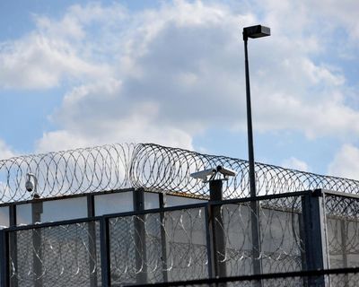 ‘Profoundly distressing’: record number of deaths in custody and police operations in NSW