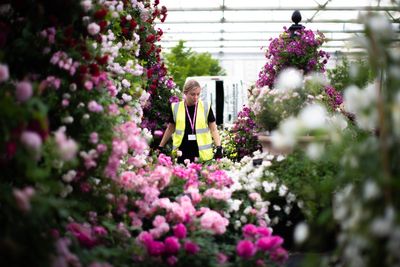 Chelsea Flower Show: Behind the scenes secrets of top garden designers