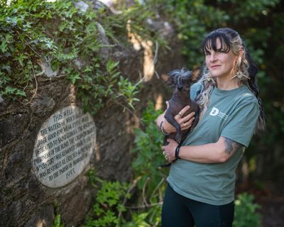 Ashburton casts a spell as witches and writers gather for folklore festival