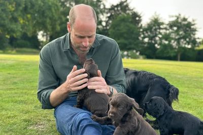 William and Kate introduce new royal dog: ‘Welcome to the family!’