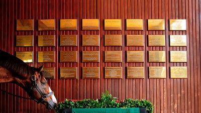 Meet the Promiscuous Stud Building a Kentucky Derby Legacy