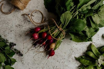 5 Crops You Can Still Start Now for a Late Summer Harvest