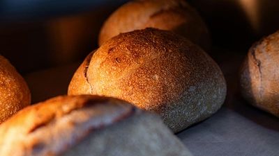 8,000-year-old wheat imprint in Georgia reshapes origins of bread wheat, scientists say