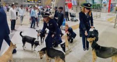 Delhi Court Orders Fresh Probe into Missing Dogs Case at IGI Airport