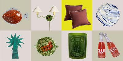 Just Got Paid? These 24 Vibe-y Home Buys That Caught a Design-Obsessed Editor's Eye This Month Are the Perfect End-of-Month Treat