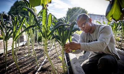 In One of L.A.’s Food Deserts, ‘Hands That Harmed Are Now Hands That Heal’