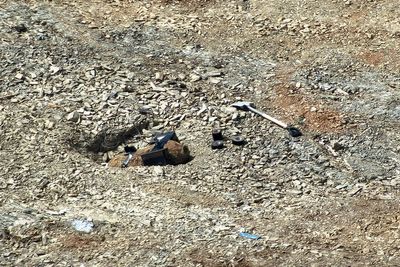 Plymouth residents allowed to return home after WWII device disarmed by bomb squad
