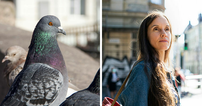 Birds Are Sexist According To Bizarre New Study — And The Gender They Prefer Has Stumped Scientists