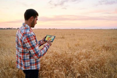 Wheat Trading with Friday AM Gains