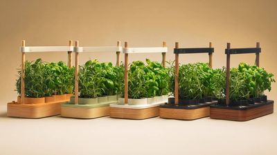 Auk upgrades its five-star smart garden, and it’s gotten bigger and smaller at the same time