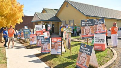 Farrer fight: coalition battles to fend off One Nation