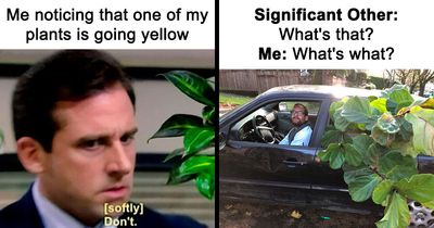 This IG Page Is Rife With Funny Plant Memes, And These 59 Are The Best So Far (New Pics)